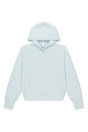 Ice Shrunken Hoodie