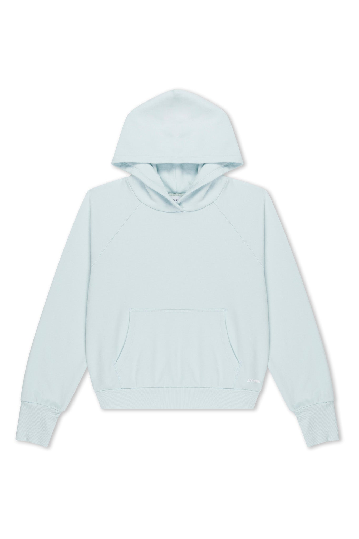 Ice Shrunken Hoodie