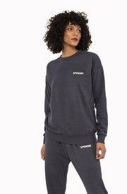 Navy Tiny Logo Sweatshirt