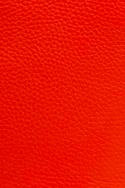 Coral Mini Panier Bag