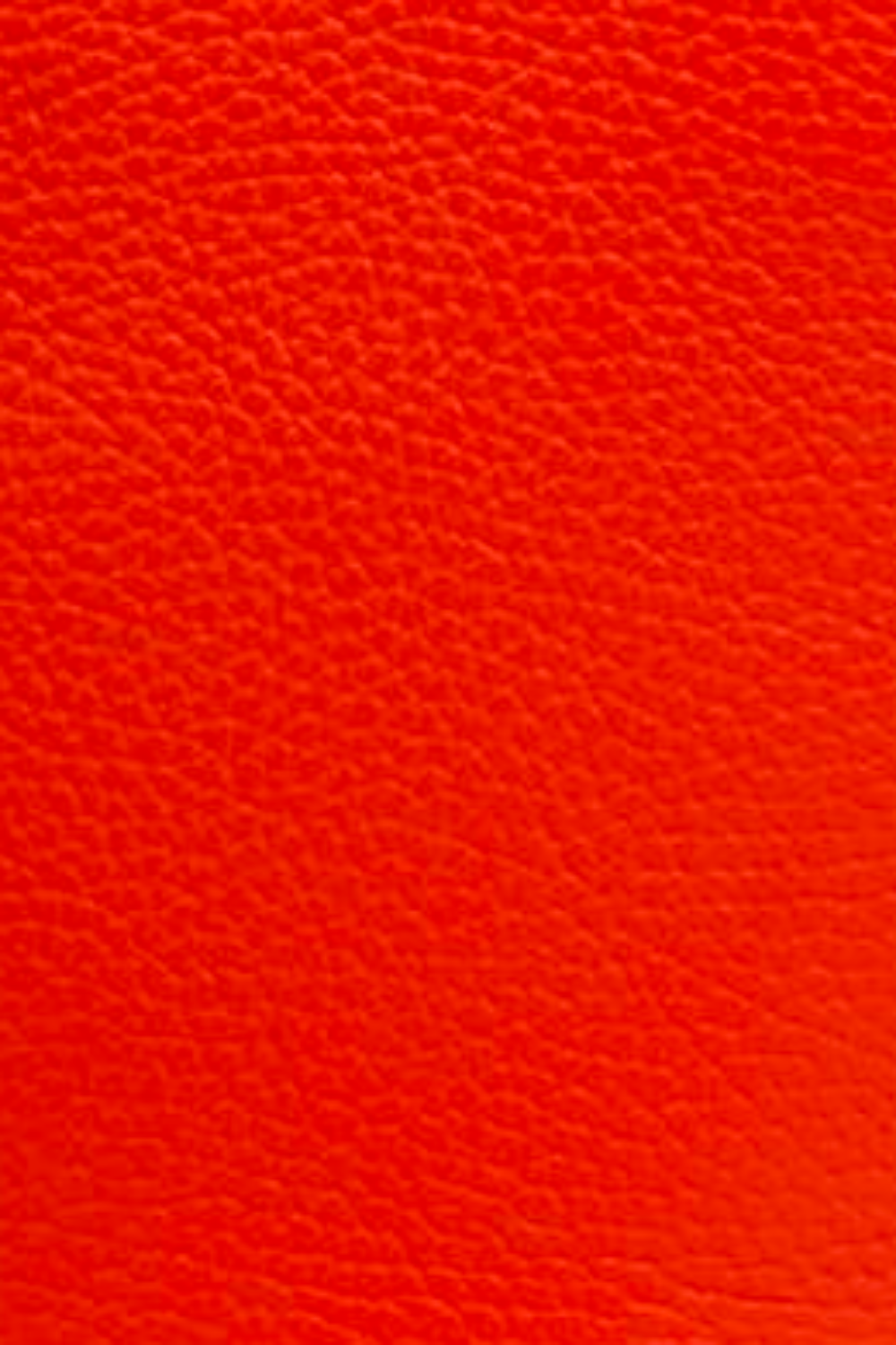 Coral Mini Panier Bag