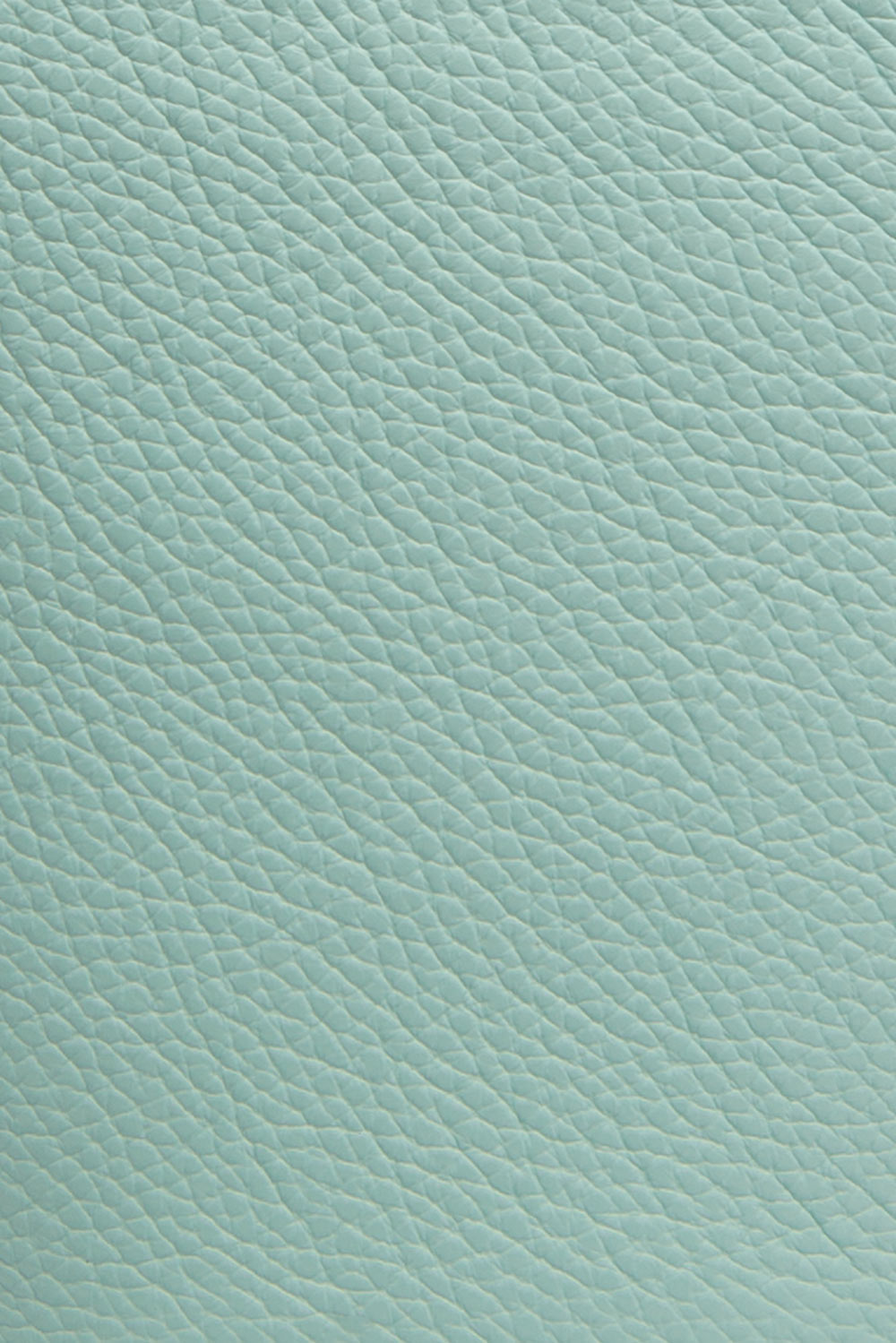 Aqua Mini Panier Bag